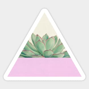 Succulent Dip Sticker